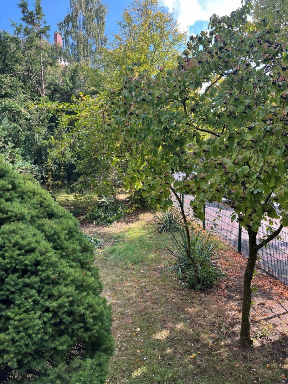 Garten Erdgeschosswohnung Hannover